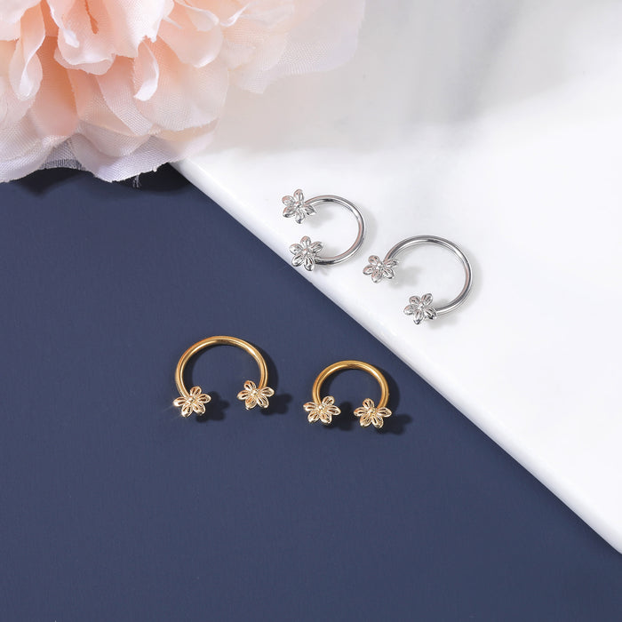 what is a septum ring