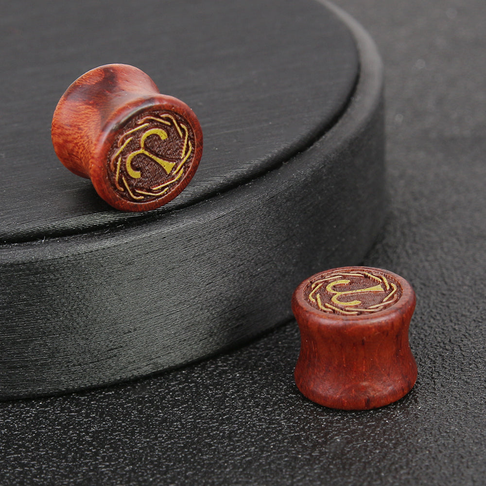 tunnels and plugs for ears